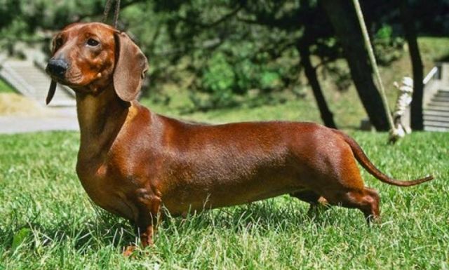 موقع السلطة