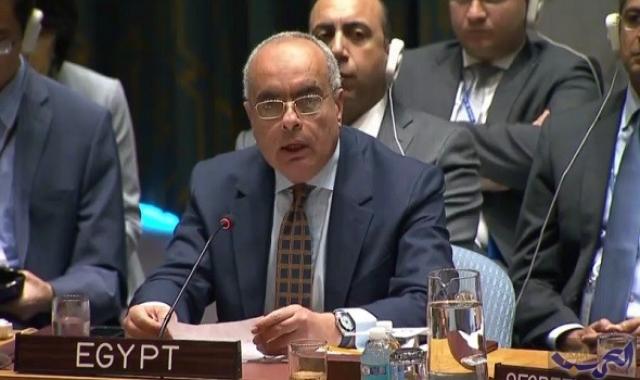 محمد إدريس سفير مصر لدى الامم المتحدة