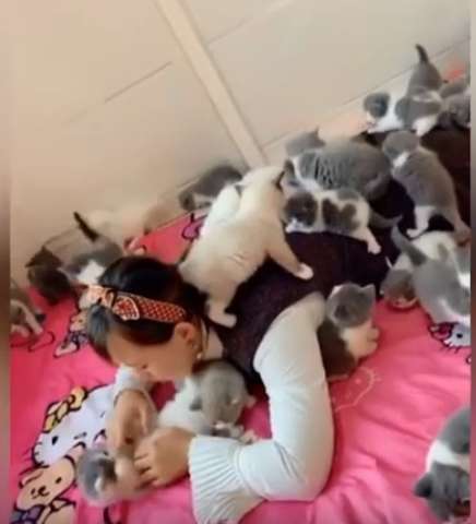 عشرات القطط على امرأة-ارشفية
