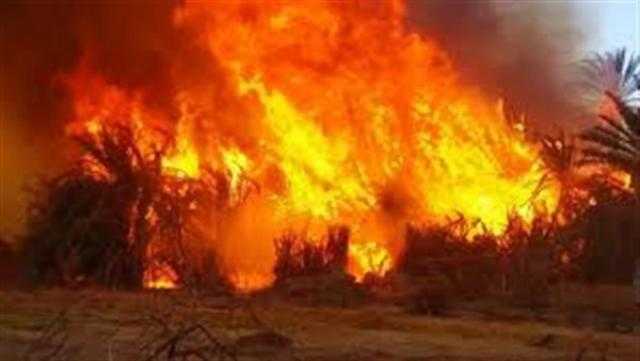 المنظمة العالمية لخريجي الأزهر تندد بحادث حريق أحد المساجد بمدينة نيوهيفن