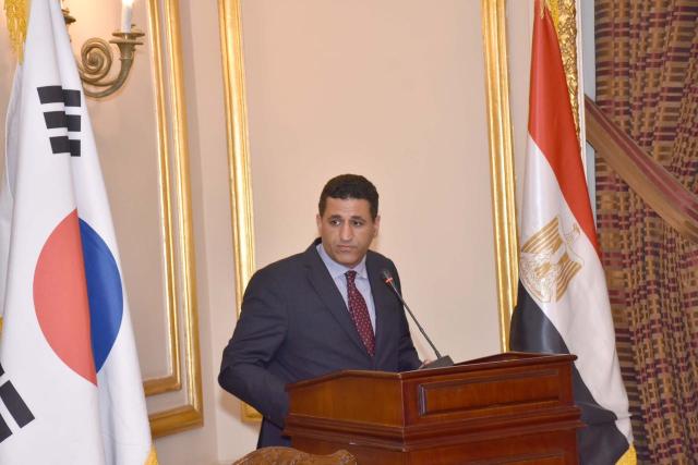عمرو الجويلي سفير مصر