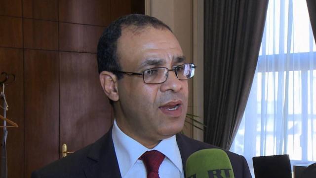 الدكتور بدر عبد العاطي سفير مصر في ألمانيا