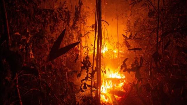 حرائق غابات الأمازون 
