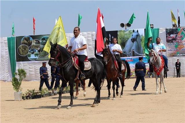 مهرجان الخيول العربية