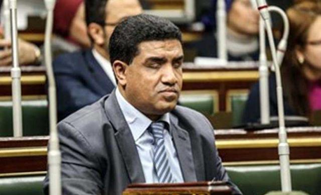 خالد حنفي عضو مجلس النواب عن ذوي الإحتياجات الخاصة