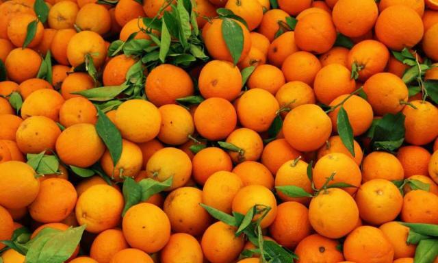 البرتقال المصرى