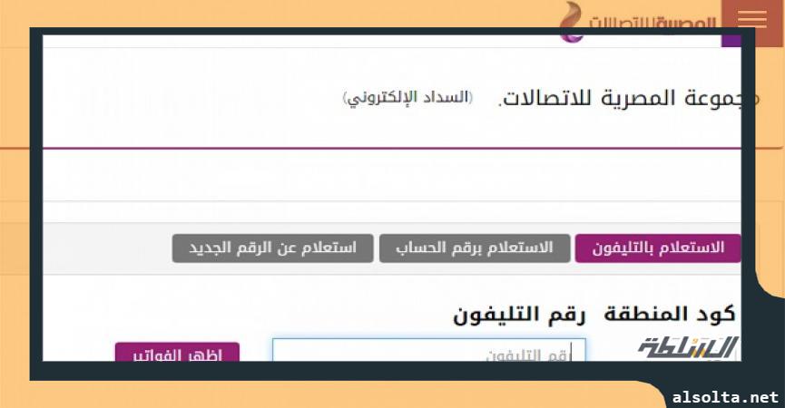 موقع المصرية للاتصالات