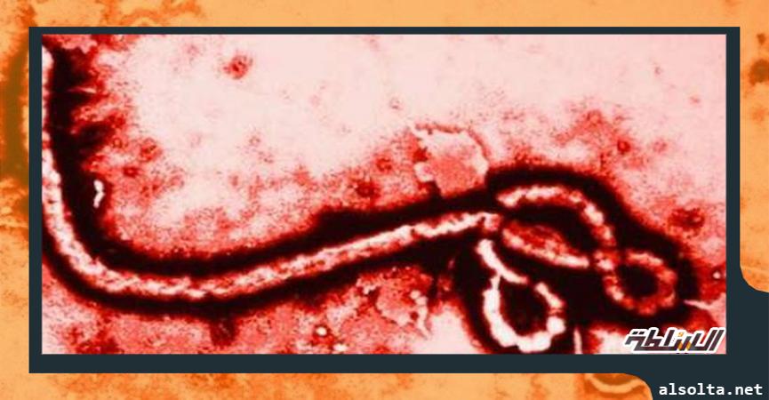 فيروس الإيبولا