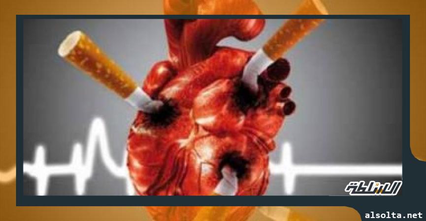 التدخين يدمر صحة قلبك