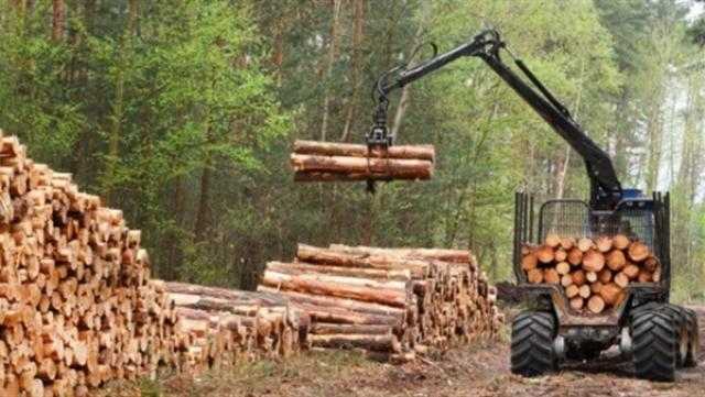 روسيا تسعي للاعتماد على الخشب كمصدر للطاقة