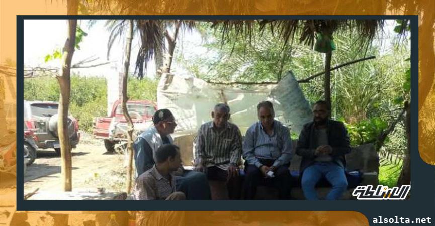 الزراعة تنظم مدرسة حقلية لتوعية المزارعين فى المنيا بخدمة النخيل