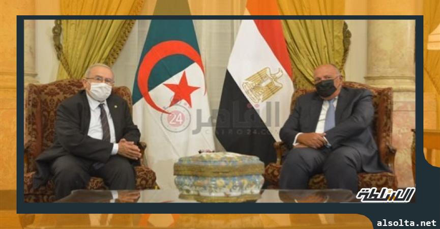 وزيرا الخارجية المصري والجزائري