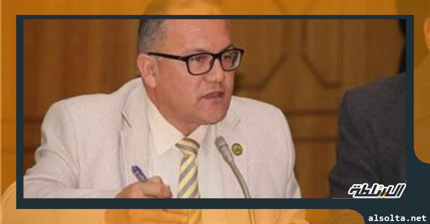 أحمد بدران البعلي عضو لجنة المحلية في مجلس النواب