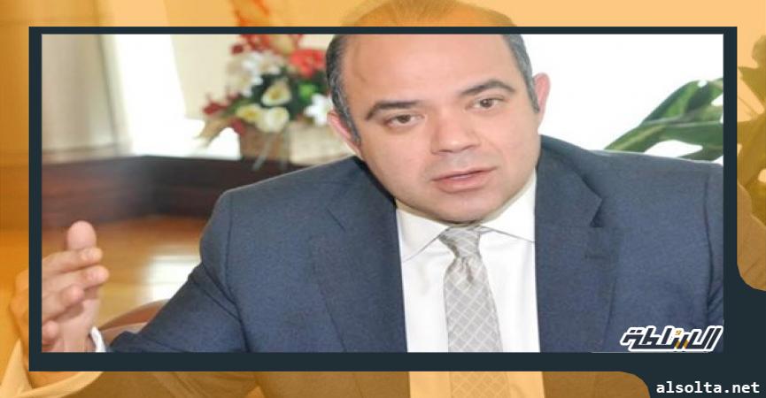 الدكتور محمد فريد رئيس البورصة المصرية