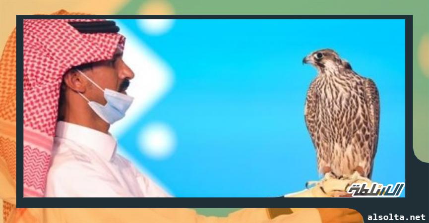 نادي السعودي مزاد الصقور 366 ألف