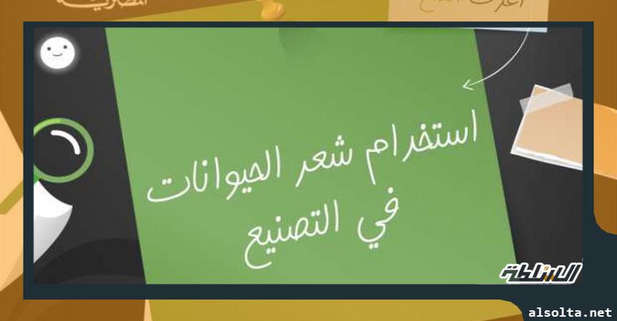 الإفتاء توضح حكم استعمال فرشاة من شعر الحيوانات