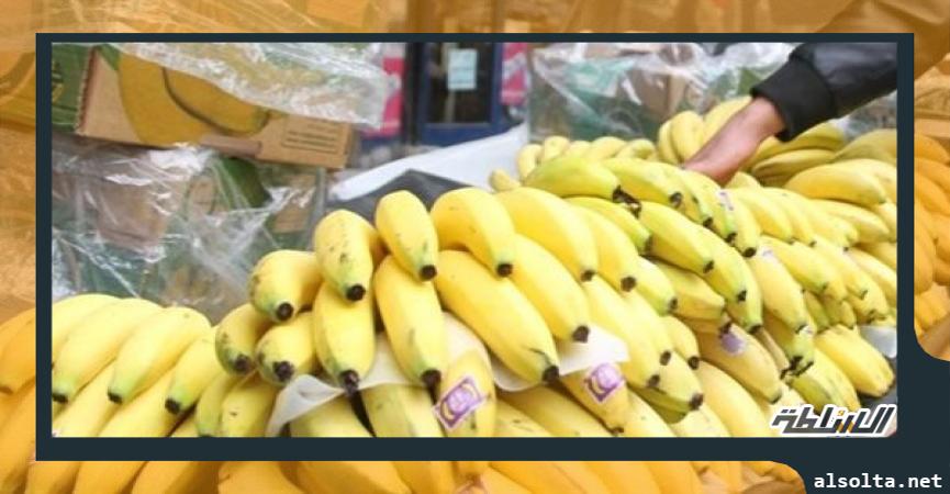 شحنات فاكهة الموز