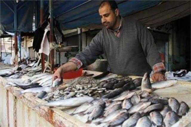 استقرار أسعار الأسماك اليوم.. والبلطي يسجل 37 جنيها للكيلو