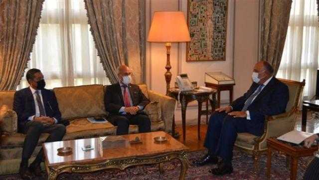 شكري يبحث العلاقات الثنائية مع وزير خارجية مدغشقر