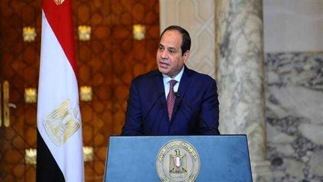 مصر ومدغشقر يتفقان على مواصلة التنسيق بشأن تلبية طموحات إفريقيا.. تفاصيل