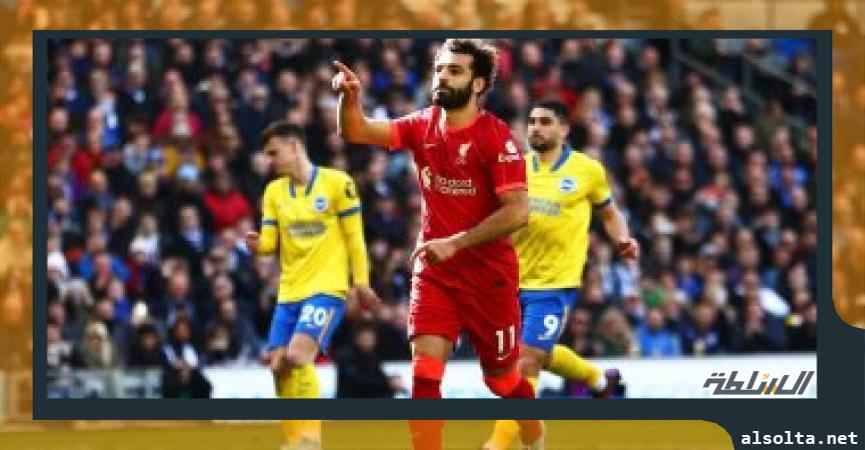 ليفربول و برايتون - ارشيفية 