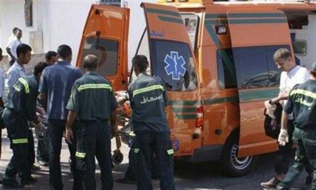 حادث مروع على طريق «الإسماعيلية - الزقازيق».. ونقل 14 مصابًا في حالة حرجة