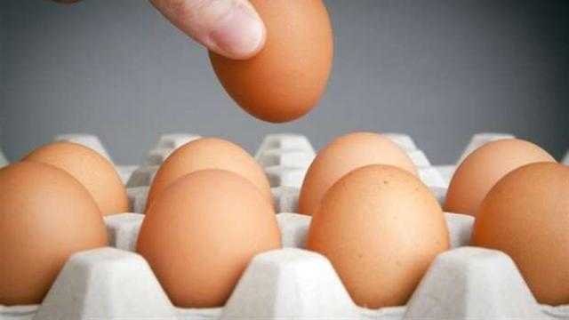تعرف على أسعار البيض بمختلف أنواعه اليوم الجمعة
