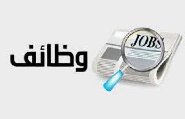 لو بتدور على شغل.. تعرف على وظائف مطلوبة في بنكي القاهرة والتجاري الدولي