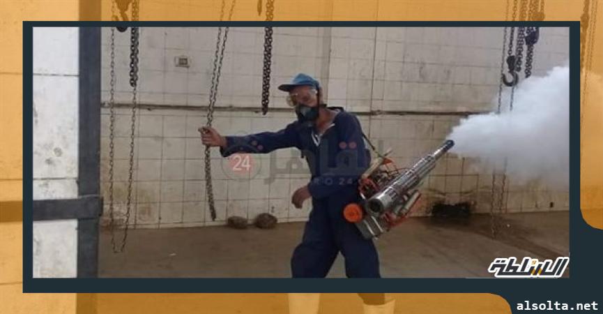 محافظات حملات التعقيم بالمنيا