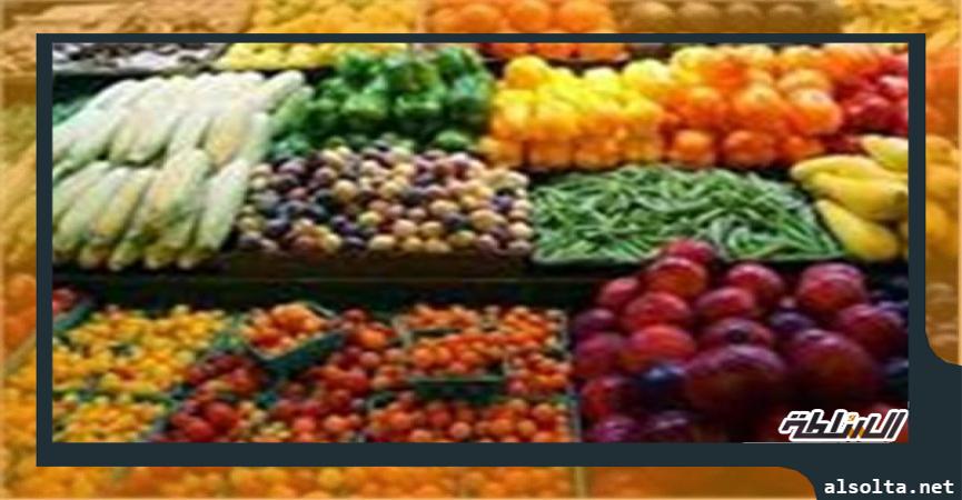 أسعار الخضروات_ سوق العبور 