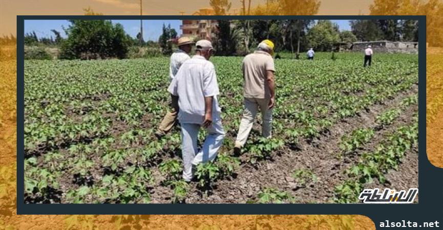 أخبار  الزراعة في مصر