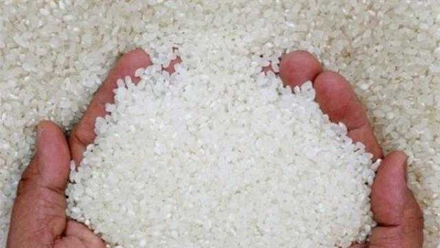 أزمة غذاء عالمية جديدة.. خفض إنتاج الأرز في الهند وتخوف من تضخم الأسعار