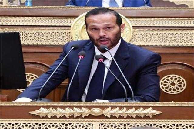 النائب محمد حلاوة: الدماء الجديدة ستساهم فى تنفيذ رؤية الرئيس
