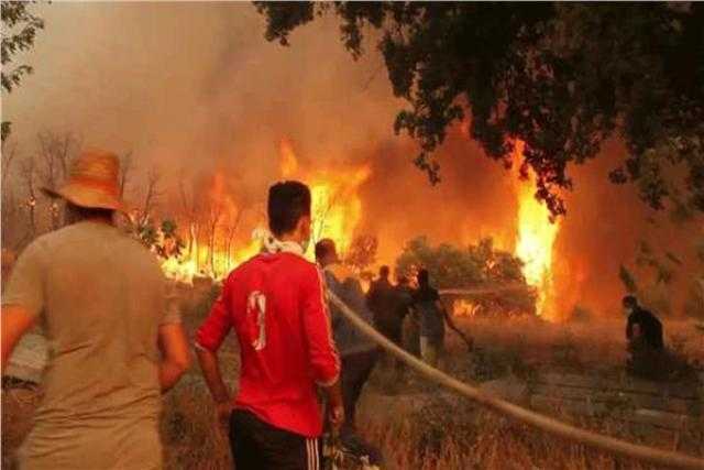 الجزائر تعلن سيطرتها على حرائق الغابات في 11 ولاية