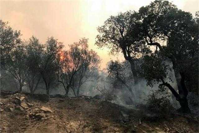 تونس تُعلن السيطرة على حرائق الغابات بنسبة 80%