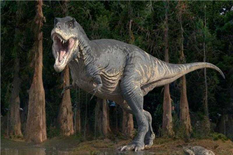 صور مخيفة تظهر سر منع التفريط بـ”ديناصور ضخم”