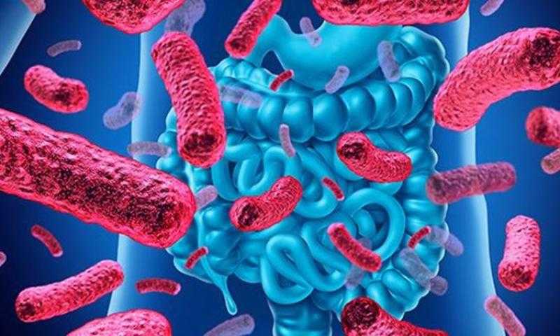 طبيب مناعة يوضح سلوكيات هامة لمنع إصابة الجسم بالبكتيريا الضارة