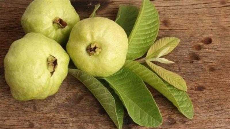 فوائد الجوافة للقولون.. تحتوي على مضادات الأكسدة
