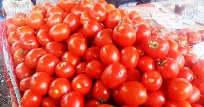 أسعار الخضروات اليوم في مصر.. كيلو الطماطم 3.5 إلى 5 جنيهات