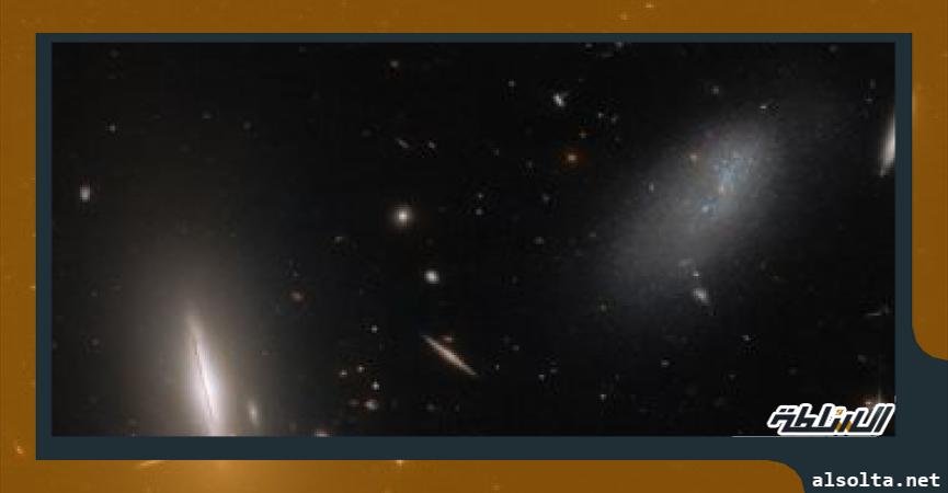 مجرة LEDA 48062