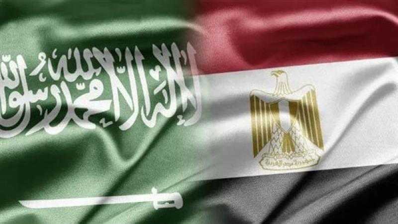 العلاقات المصرية السعودية.. تاريخ من التعاون والإخاء |فيديو