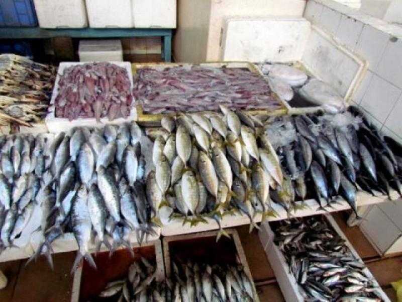 أسعار الأسماك اليوم الأربعاء 8 فبراير 2023