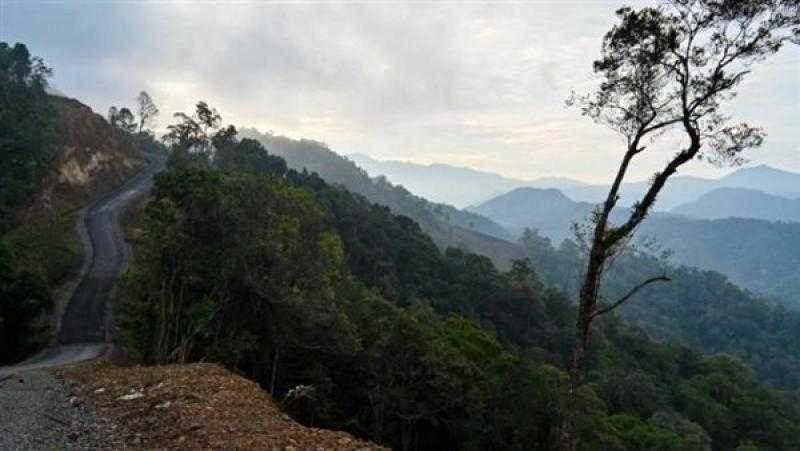 كارثة بيئية تهدد الأرض بسبب زوال الغابات