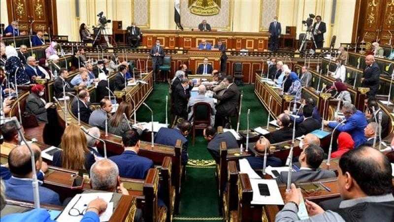 النواب يواجه وزير التعليم العالي بـ141 أداة رقابية.. اليوم