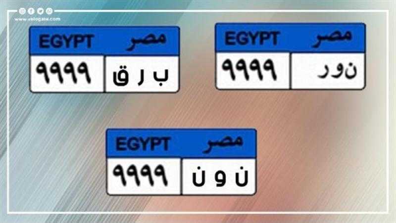 قطة بـ 110 آلاف جنيه، أسعار اللوحات المعدنية المميزة (صور)