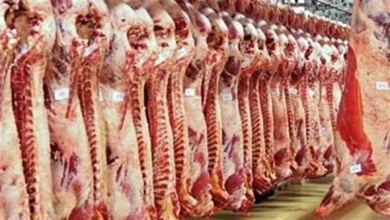 كيلو اللحم بـ 150 جنيها.. تموين الدقهلية يزف بشرى للمواطنين.. تفاصيل