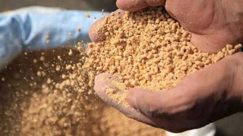نقيب الفلاحين: نتوقع تراجع أسعار الأعلاف قريبا تزامنا مع الإفراجات الجمركية