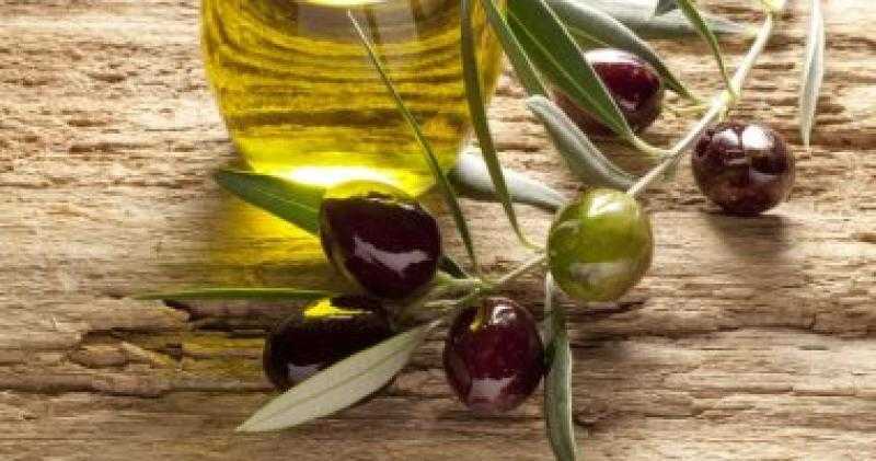 الفوائد الصحية للزيتون.. يحتوى على دهون صحية ومضادات الأكسدة