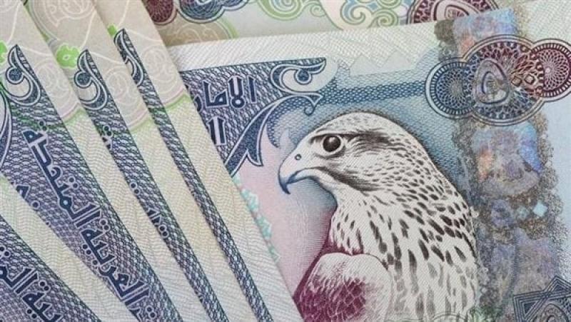 سعر صرف الدرهم الإماراتي أمام الجنيه المصري اليوم الأربعاء 22-3-2023