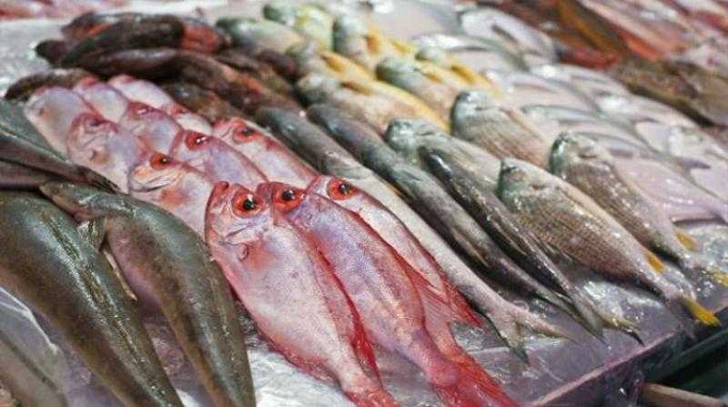 أسعار السمك اليوم للمستهلك.. «الجمبري» بكام؟